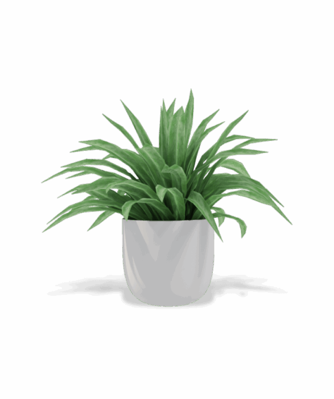 shop-bg-01